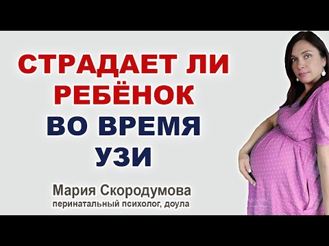 Как УЗИ влияет на ребенка при беременности? Вредно ли УЗИ?