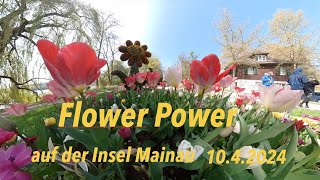 „Flower Power“ auf der Blumeninsel Mainau - Bodensee 10.4.2024