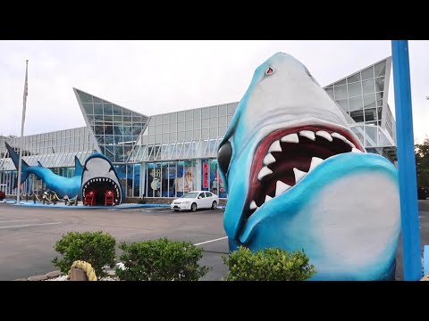 The Unusual Roadside Oddities of Myrtle Beach South Carolina - Winter 2022 Tourist Town Off Season