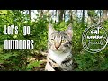 Indoors cats: Let&#39;s go OUTDOORS ! Cat walking, bird&#39;s song, nature sounds