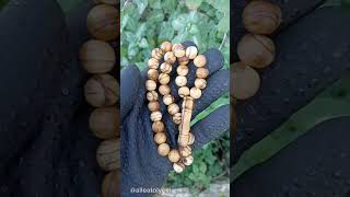 Favoriniz Hangisi 7 Çeşit Ahşap Tesbih Şaptesbih