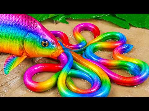 Catch beautiful aquarium fish in small pond baby turtles, 잉어, 장어, 악어, 개구리, 플라스틱 상어, 왕게, 장어