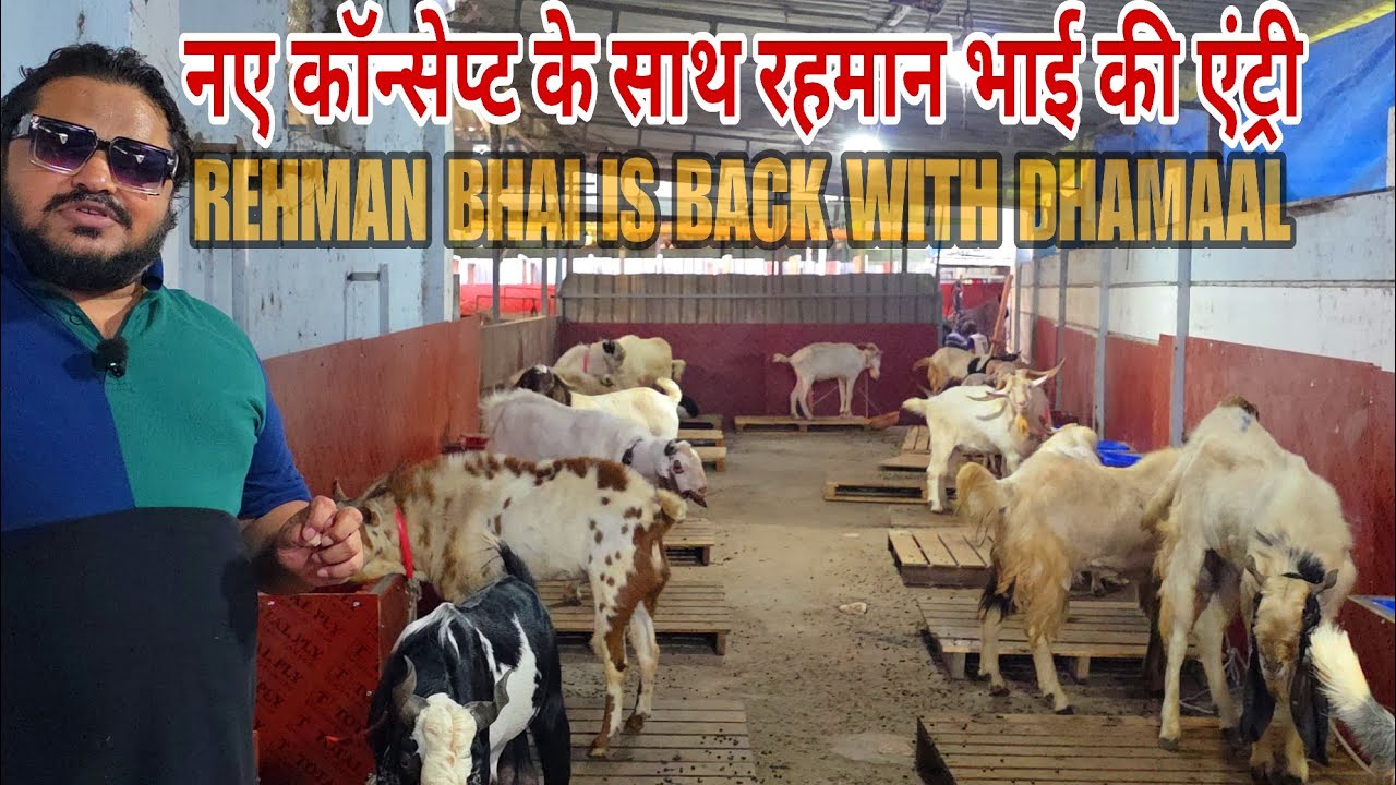 Aa Gaya Rehman Mistry Ek Baar Phir Naye Concept K Sath Armf Goat Farm Bhiwandi Mahapoli