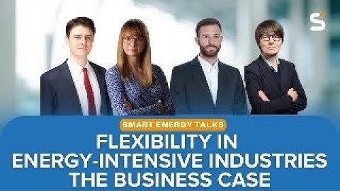 Flexibility in Energy-Intensive Industries | The Business Case