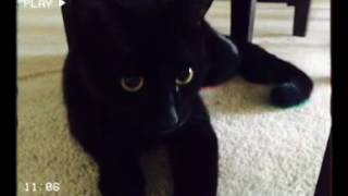 VHS test