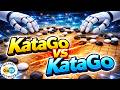 KataGo Selfplay review