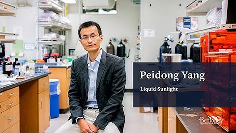 Liquid Sunlight: Peidong Yang