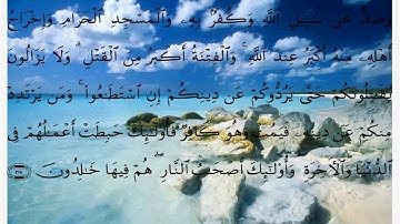 سورة البقرة الايات 214 الى 220 - تجويد