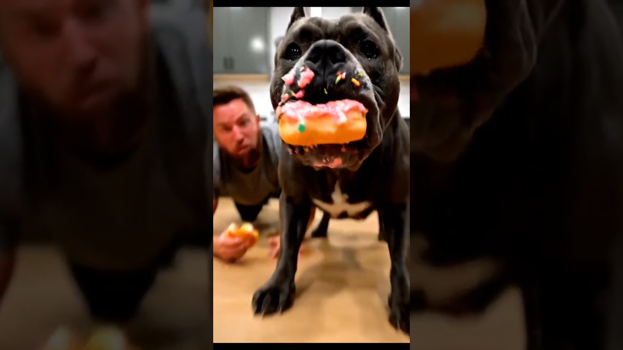 I Raced My Dog for Donuts... He Inhaled Them! 🍩😤