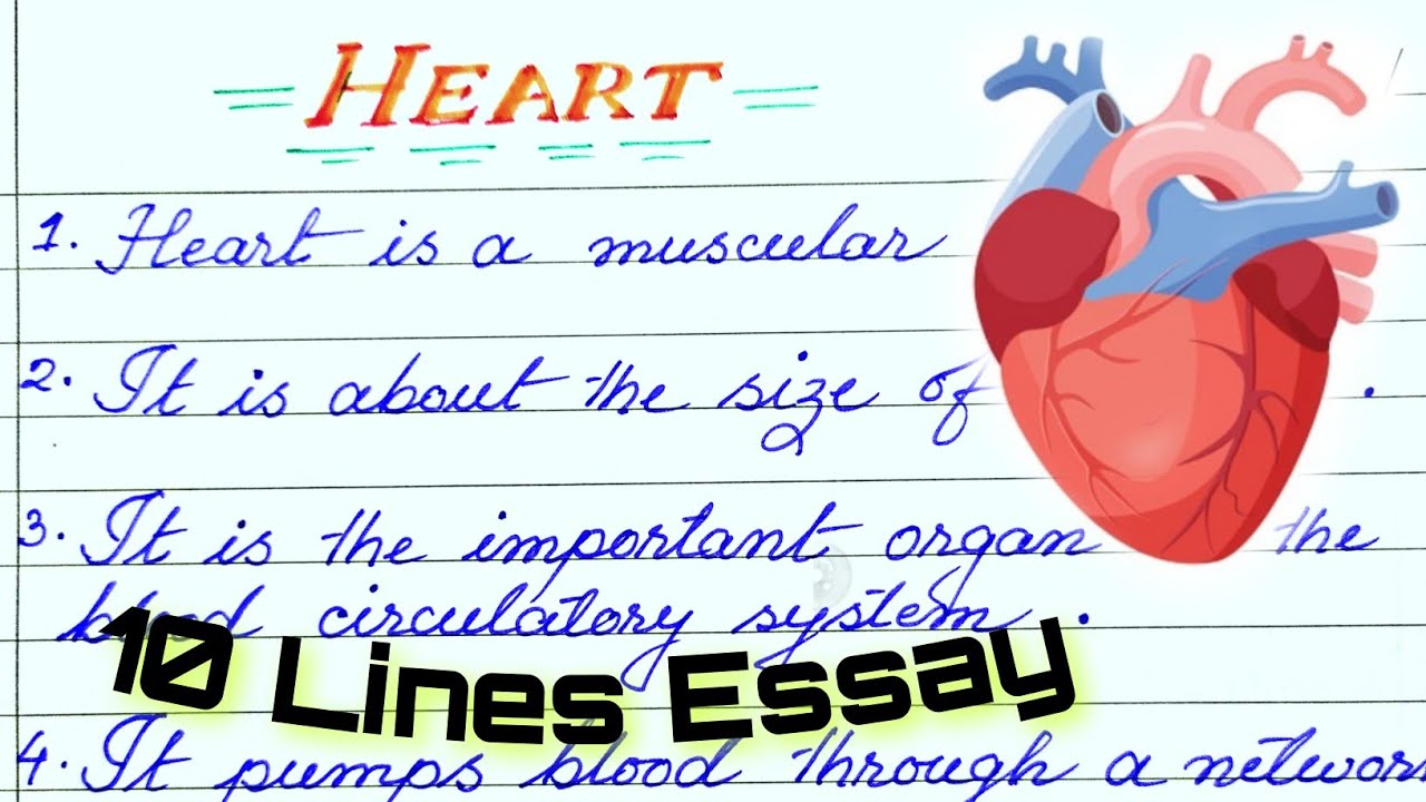 write an essay on heart sound