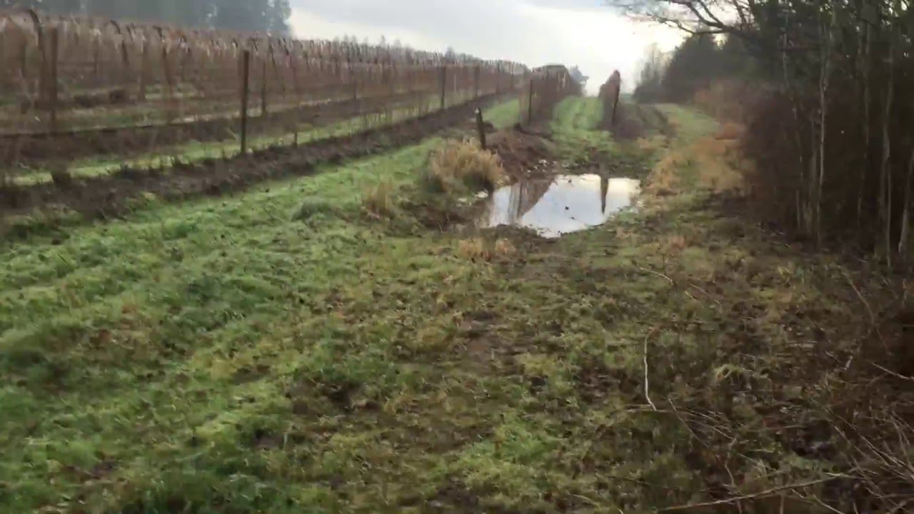 Getting muddy with my buddy