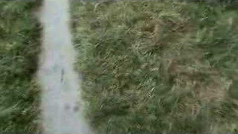 De 8e Verdieping--fragment 3