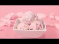Double Rainbow- Stella's Ice Cream 2024