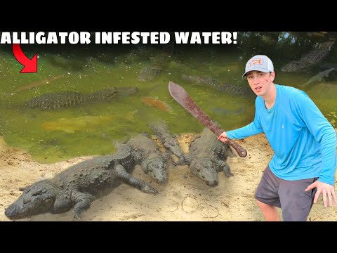 I Survived 24 Hours in Alligator INFESTED Water!