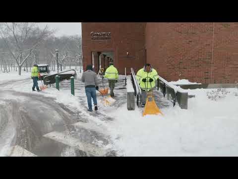 UVM Custodial Salt