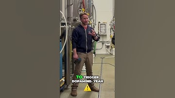 Social Media: Addictive Dopamine Loops & How We