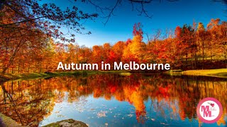 Autumn in Melbourne (30 mins) Captivating Autumn Melody