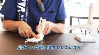 WR今林店長が解説/Part１足裏アーチについて