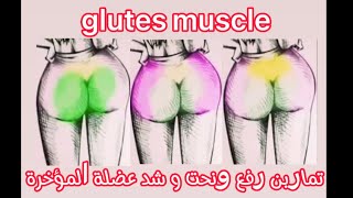 تمارين رفع و نحت و شد عضلة المؤخرة ((glutes muscle ))‍️|| تمارين فعالة 100%