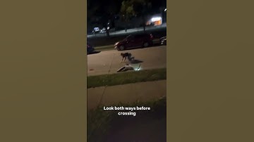 “Always say look both ways before crossing 😱😱 close call caught on camera!” #viral #funny #foryou