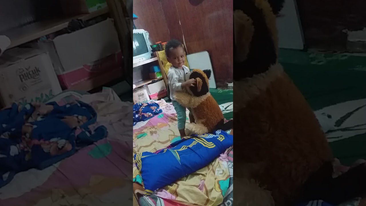Boneka sekaligus hewan kesukaan dextin💙 - YouTube