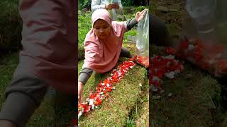 Download Lagu Suratan - Rhoma irama - Soneta #dangdut #shrots #romairama #sonetagroup MP3