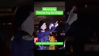 Celebrity Driver Teeters on Edge After Wild Freeway Crash Wealth