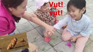 Trò chơi Chọi gà (Với cỏ gà) - Chicken fighting game screenshot 5