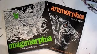 Imagimorphia vs Animorphia - My Thoughts and Coloring Ideas