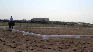 20140809 Stellar Mount Schooling Show - Level 1 Test 4 - 69.4%