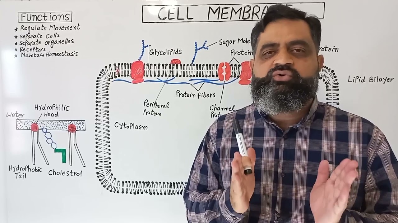 Cell Membrane Urdu/ Hindi medium 