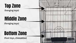Complete Cockatiel Cage Setup (Size, Perches, Toys, Placement)