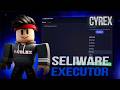 Is SELIWARE the BEST Roblox Executor for 2026? Full Roblox Exploiting Guide