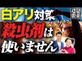 【家はホウ酸で守る】白アリ社長「フォーリンラブハジメ」さんの1日|シロアリ対策/シロアリ予防