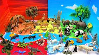  Explore The Animal World From The Hot Savanna To The Frozen Arctic 