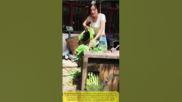 This $0 Trick Cuts Pig Feed Cost By 70%!