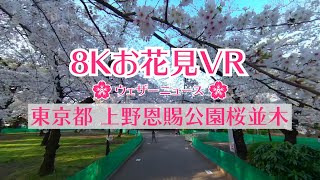 お花見 2021年最新】宇都宮市のお花見スポットおすすめ15選！桜の開花や