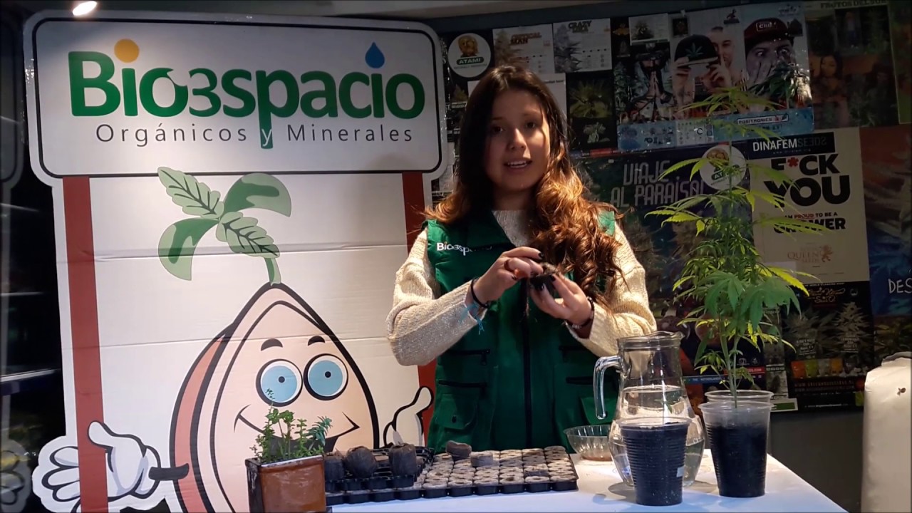 Germinar semillas en Jiffy o Taco de Turba Prensada