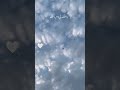 Щ Ш ШЇШ Ш ШЁЩѓ ЩЉЩЃШ Ш Щ Ш Щ ЩЉШ ШЇЩ Щ Ш рџҐ в ђрџ Shortsvideo Shortvideo Ш ЩѓШіШЁЩ Щ Ш Subscribe ЩЃЩЉШЇЩЉЩ Ш ШєШ Щ ЩЉ Щ Ш ШЇШ Ш ШЁЩѓ ЩЉЩЃШ Ш Щ Ш Щ ЩЉШ ШЇЩ Щ Ш рџҐ в ђрџ Shortsvideo Shortvideo Ш ЩѓШіШЁЩ Щ Ш Subscribe ЩЃЩЉШЇЩЉЩ Ш ШєШ Щ ЩЉ