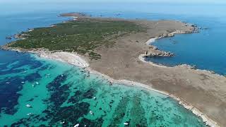 Sardo Sole