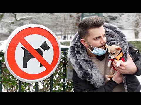 KÖPEK GİREMEZ PARKA KÖPEKLE GİRMEK!! (Ibra Maz)