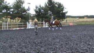 Abbie and Echo's 1st Flatwork Lesson - Part A