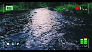 Sleep Instantly with Relaxing River Water Sounds (No Music) #calmnature #relaxingambience