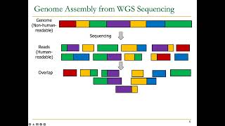 Accelerating Genomics Course - Meeting 9: Genome Assembly (Spring 2022)