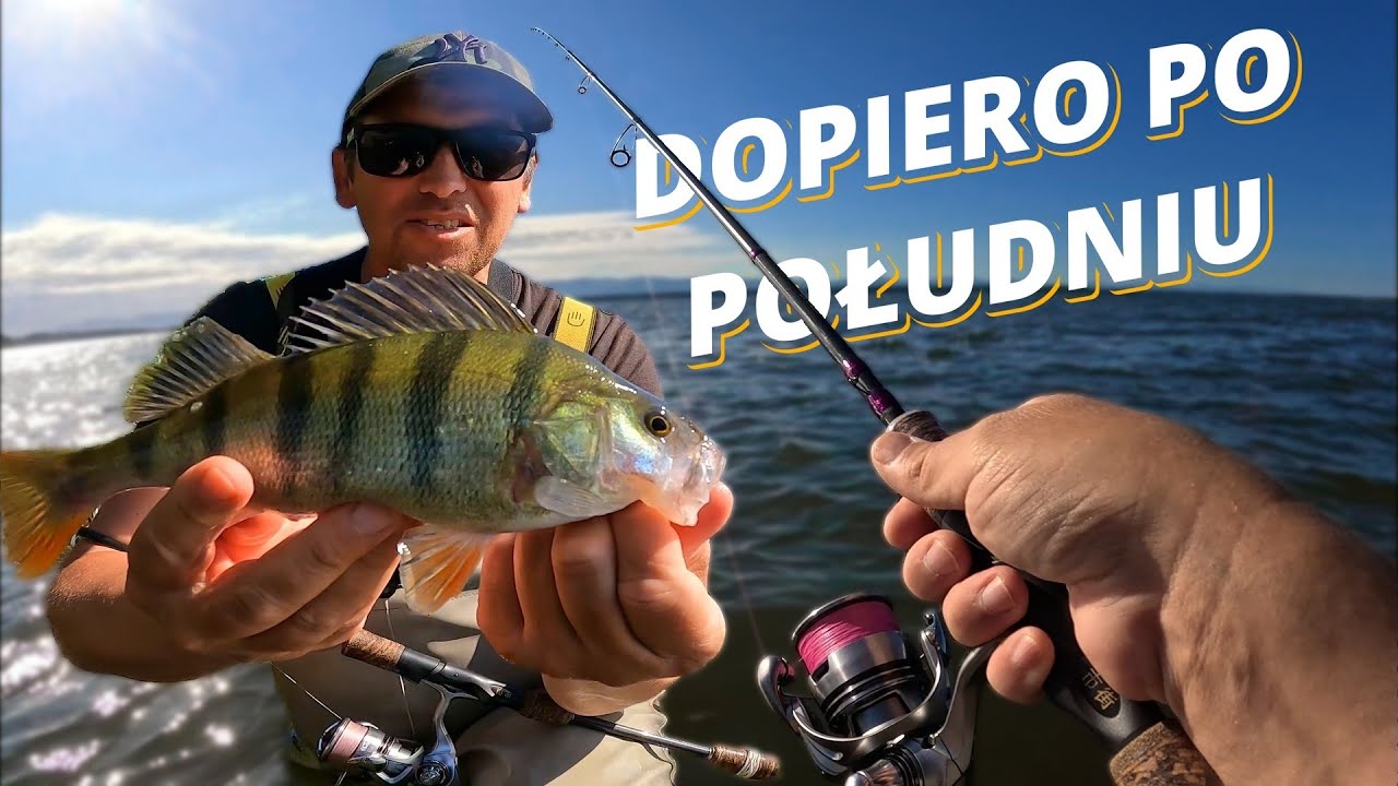 Dlaczego okonie odpaliły dopiero po południu? | Dropshot na zaporówce