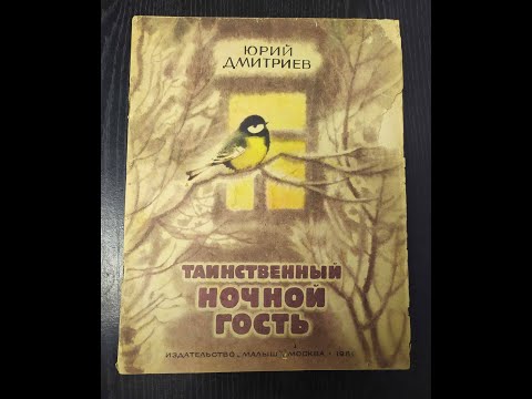 Юрий Дмитриев. Таинственный ночной гость.