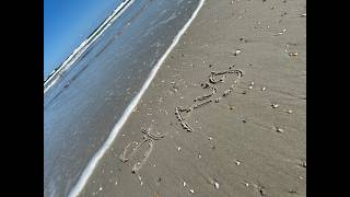 St. Augustine Beachfront Rental