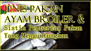 Harga Pakan Ayam Broiler Hari Ini Senin 15 November 2021. 