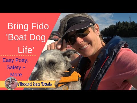 Bring Fido Restaurants Near Me