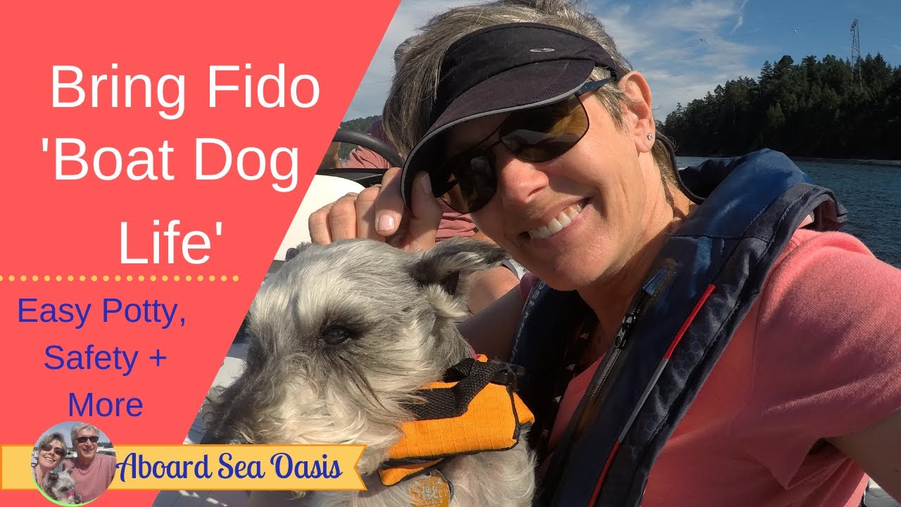 Bring Fido, Boat Dog Life S1 E17 YouTube